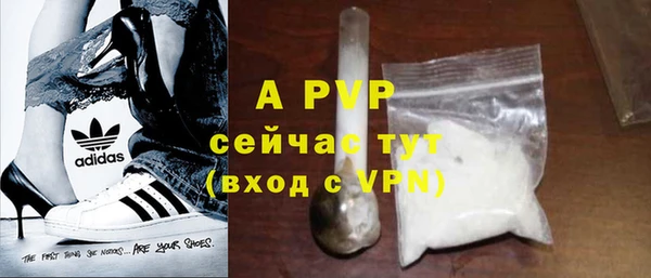 прущие крисы Гусев
