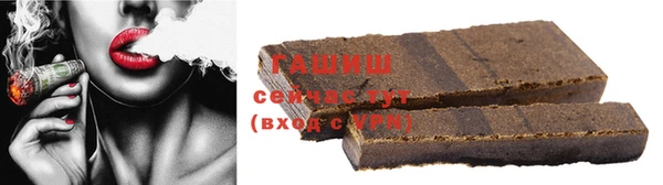 прущие крисы Гусев