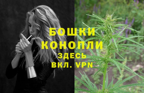 прущие крисы Гусев