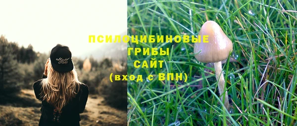 2c-b Гусь-Хрустальный