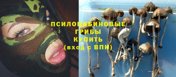 прущие крисы Гусев