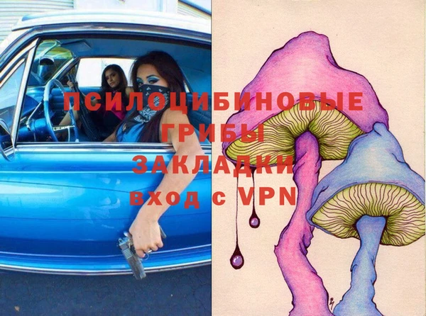 прущие крисы Гусев