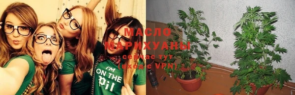 прущие крисы Гусев